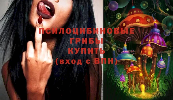 PSILOCYBIN Бронницы
