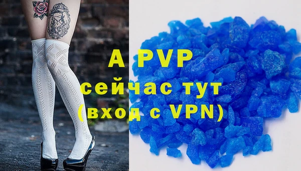 PSILOCYBIN Бронницы