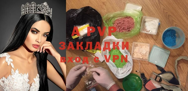 PSILOCYBIN Бронницы