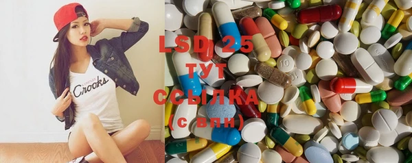 PSILOCYBIN Бронницы