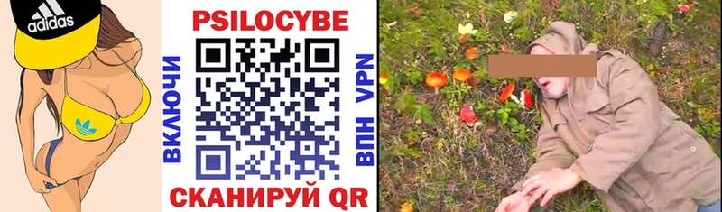 hydra ссылка Новокузнецк Псилоцибиновые грибы Psilocybe